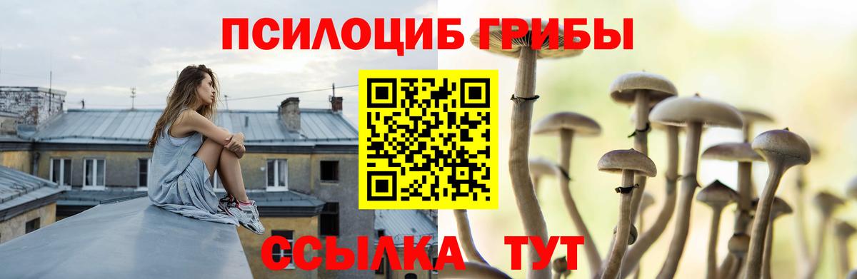 Гулькевичи  Галлюциногенные грибы прущие грибы  Вход с VPN  Галлюциногенные грибы прущие грибы 