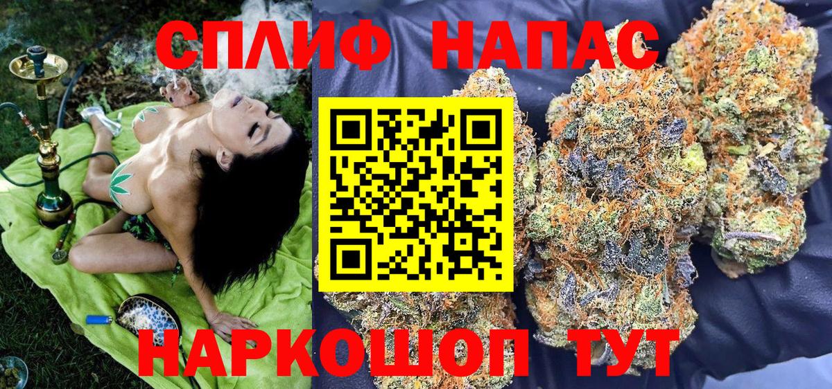 МЕФ Гулькевичи